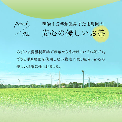 粗加工 Hachijuhachiya 深蒸煎茶 100g 新茶 2023